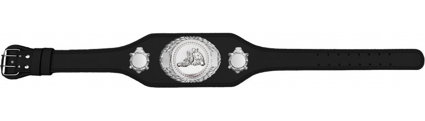 JIU JITSU CHAMPIONSHIP BELT-BUD295/S/JJS-4 COLOURS